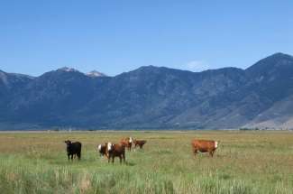 Carson Valley